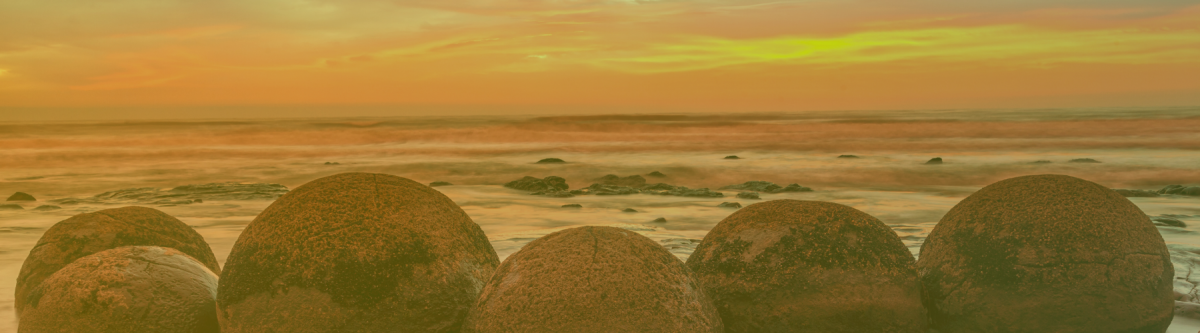 Aotearoa New Zealand’s united voice for EdTech